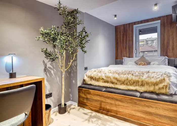 Primaverii Appartments * Bucureşti